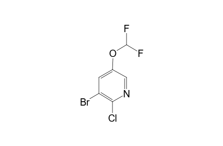 2-CHLORO-3-BROMO-5-DIFLUOROMETHOXY-PYRIDINE