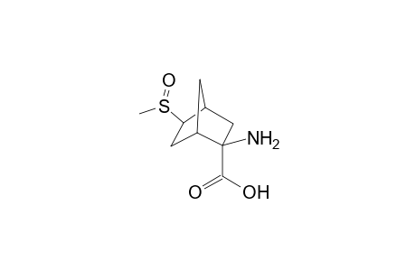 2-exo-amino-6-methylsulfoxobicyclo[2.2.1]heptane-2-endo-carboxylic acid