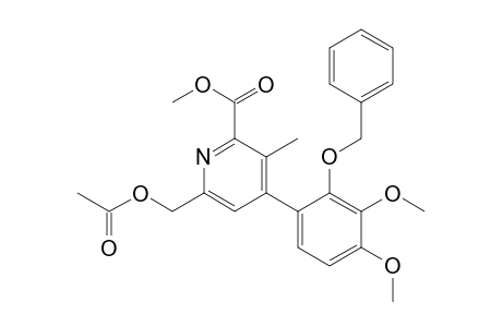 2-Pyridinecarboxylic acid, 6-[(acetyloxy)methyl]-4-[3,4-dimethoxy-2-(phenylmethoxy)phenyl]-3-methyl-, methyl ester