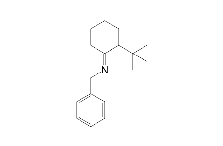 2-t-Butylcyclohexanone benzylimine