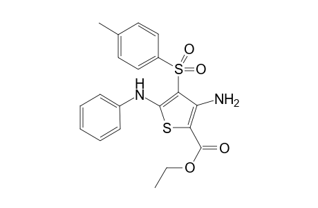 Ethyl 3-amino-5-(phenylamino)-4-tosylthiophene-2-carboxylate
