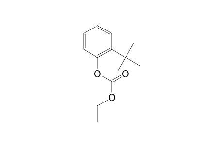 2-Tert-butylphenol, o-ethoxycarbonyl-