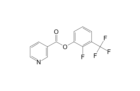 Nicotinic acid, 2-fluoro-3-trifluoromethylphenyl ester