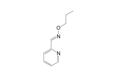 picolinaldehyde, O-propyloxime