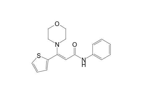 (Z)-3-(4-morpholinyl)-N-phenyl-3-thiophen-2-yl-2-propenamide