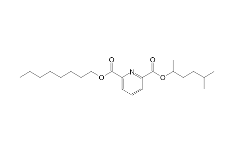 2,6-Pyridinedicarboxylic acid, 5-methylhex-2-yl octyl ester