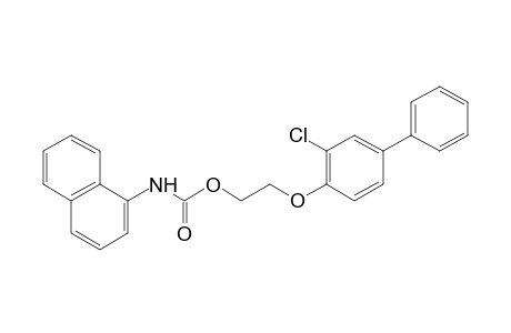 1-naphthalenecarbamic acid, 2-[(2-chloro-4-biphenylyl)oxy]ethyl ester