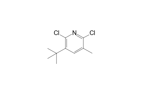 2,6-Dichloro-3-methyl-5-tert-butylpyridine