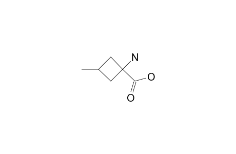1-AMINO-3-METHYLCYCLOBUTANE-CARBOXYLIC-ACID