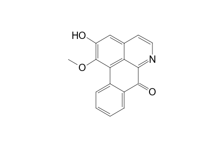 Oxoasimilobine