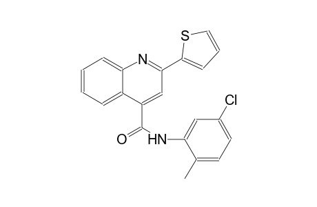 4-quinolinecarboxamide, N-(5-chloro-2-methylphenyl)-2-(2-thienyl)-