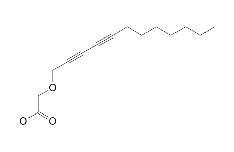 MONTIPORIC-ACID-A