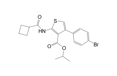 isopropyl 4-(4-bromophenyl)-2-[(cyclobutylcarbonyl)amino]-3-thiophenecarboxylate