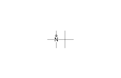 Trimethyl-tert-butyl-ammonium cation