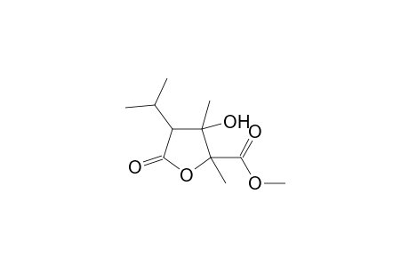 Methyl 2,3-dimethyl-3-hydroxy-4-isoproopyl-5-oxo-tetrahydrofuran-2-carboxylate