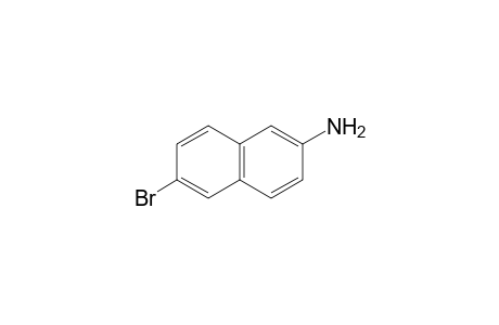 6-bromo-2-naphthylamine