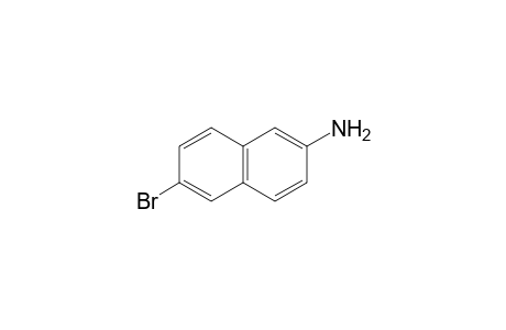 6-bromo-2-naphthylamine