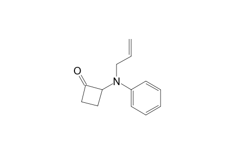 2-(N-allyl-N-phenylamino)cyclobutanone