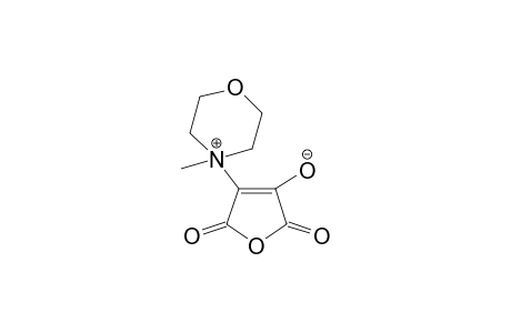 3-(1-Methylimorphono)furan-3,5(3H,5H)-dione