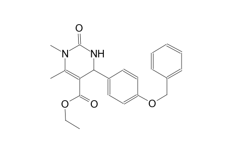 ethyl 4-[4-(benzyloxy)phenyl]-1,6-dimethyl-2-oxo-1,2,3,4-tetrahydro-5-pyrimidinecarboxylate