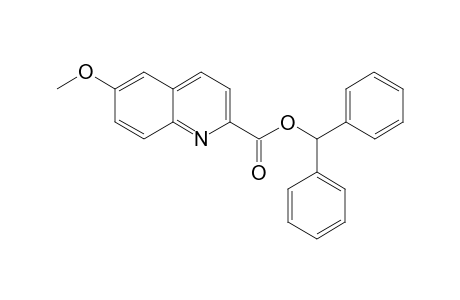 Benzhydryl 6-methoxyquinoline-2-carboxylate
