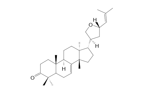 CORNUSALTERIN_L