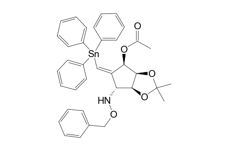 (Z)-(1R,2R,3S,4R)-4-[(Benzyloxy)amino]-2,3-O-isopyopylidene-1-O-acetyl-6-(triphenylstannyl)-5-methylenecyclopentane-1,2,3-triol