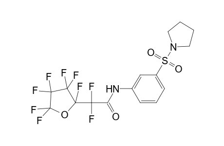 2,2-bis(fluoranyl)-2-[2,3,3,4,4,5,5-heptakis(fluoranyl)oxolan-2-yl]-N-(3-pyrrolidin-1-ylsulfonylphenyl)ethanamide