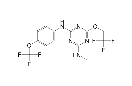 2-N-methyl-6-(2,2,2-trifluoroethoxy)-4-N-[4-(trifluoromethoxy)phenyl]-1,3,5-triazine-2,4-diamine