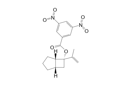 (1S,5S,6R)-6-(3,5-Dinitrobenzoyl)oxy-6-prop-2-en-2-ylbicyclo[3.2.0]heptane