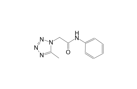 2-(5-methyl-1H-tetraazol-1-yl)-N-phenylacetamide