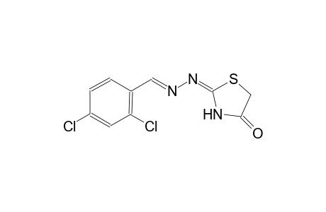 2,4-dichlorobenzaldehyde [(2E)-4-oxo-1,3-thiazolidin-2-ylidene]hydrazone