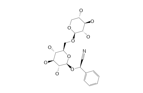 LUCUMIN;[6-O-(BETA-D-XYLOPYRANOSYL)-BETA-D-GLUCOPYRANOSYLOXY]-2-PHENYLACETONITRILE