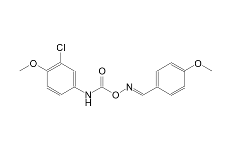 benzene, 2-chloro-1-methoxy-4-[[[[[(E)-(4-methoxyphenyl)methylidene]amino]oxy]carbonyl]amino]-
