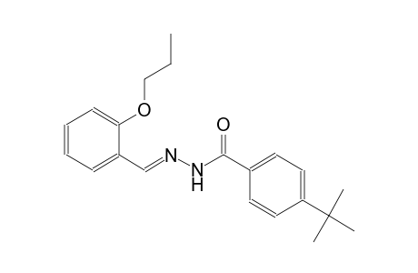 4-tert-butyl-N'-[(E)-(2-propoxyphenyl)methylidene]benzohydrazide