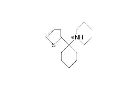 1-Piperidino-1-(2-thienyl)-cyclohexane cation