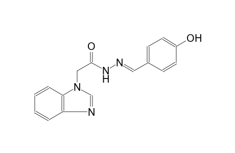 2-(1H-benzimidazol-1-yl)-N'-[(E)-(4-hydroxyphenyl)methylidene]acetohydrazide