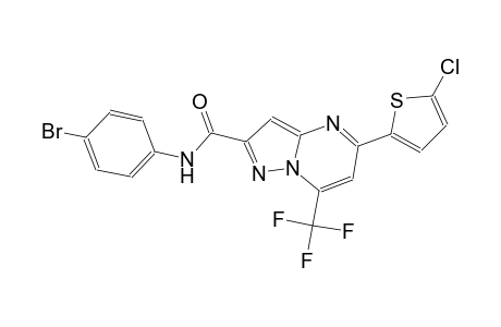 N-(4-bromophenyl)-5-(5-chloro-2-thienyl)-7-(trifluoromethyl)pyrazolo[1,5-a]pyrimidine-2-carboxamide