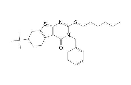 3-benzyl-7-tert-butyl-2-(hexylsulfanyl)-5,6,7,8-tetrahydro[1]benzothieno[2,3-d]pyrimidin-4(3H)-one