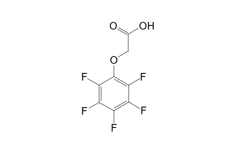 2,3,4,5,6-Pentafluorophenoxyacetic acid