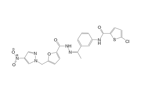 5-chloro-N-[3-((1Z)-N-{5-[(4-nitro-1H-pyrazol-1-yl)methyl]-2-furoyl}ethanehydrazonoyl)phenyl]-2-thiophenecarboxamide