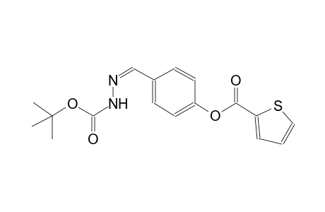 tert-butyl (2Z)-2-{4-[(2-thienylcarbonyl)oxy]benzylidene}hydrazinecarboxylate
