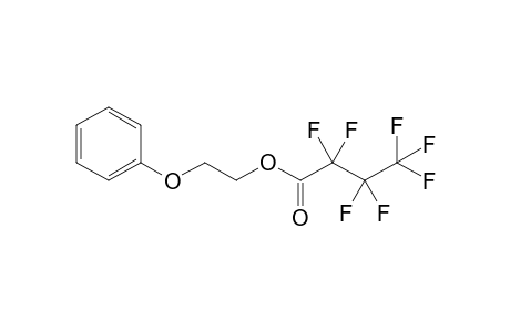 Phenoxyethanol HFB