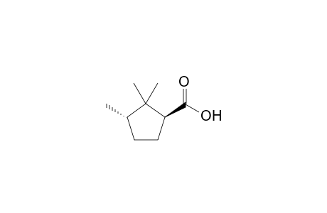 (1S,3S)-2,2,3-Trimethylcyclopentanecarboxylic Acid