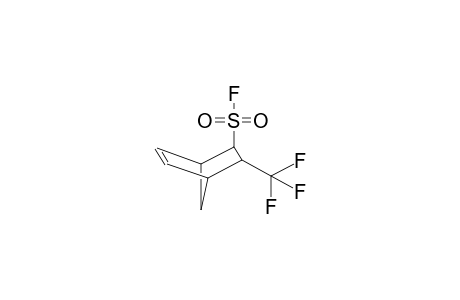 5-TRIFLUOROMETHYL-6-FLUOROSULPHONYLBICYCLO[2.2.1]HEPT-2-ENE