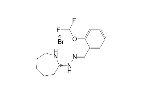 (1Z,2E)-1-(azepan-2-ylidene)-2-(2-(difluoromethoxy)benzylidene)hydrazin-1-ium bromide