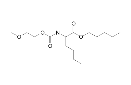 dl-Norleucine, N-(2-methoxyethoxycarbonyl)-, pentyl ester