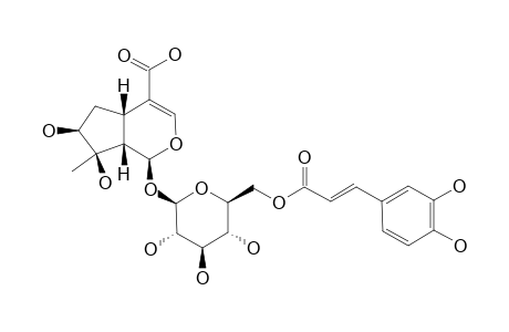 LIPPIOSIDE-II;6'-O-TRANS-CAFFEOYL-CARYOPTOSIDIC-ACID