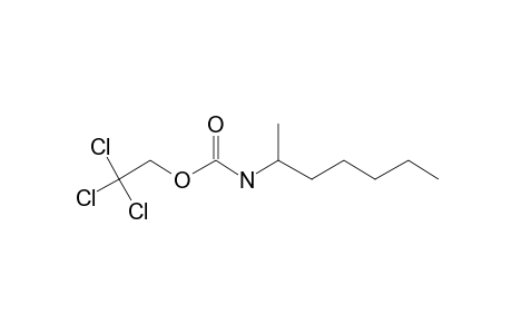 Carbonic acid, monoamide, N-hept-2-yl-, 2,2,2-trichloroethyl ester