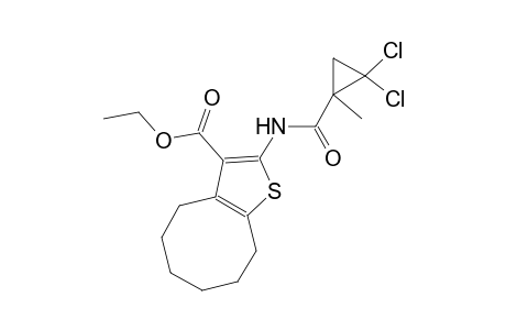 ethyl 2-{[(2,2-dichloro-1-methylcyclopropyl)carbonyl]amino}-4,5,6,7,8,9-hexahydrocycloocta[b]thiophene-3-carboxylate